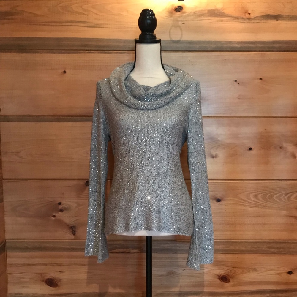 Sparkling Silver Cremieux Sweater